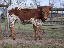 YOUR EYES 4 A CENTURY MKMC 