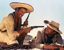 TUCO LM 